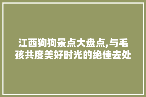 江西狗狗景点大盘点,与毛孩共度美好时光的绝佳去处