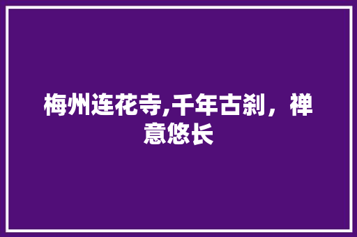 梅州连花寺,千年古刹，禅意悠长