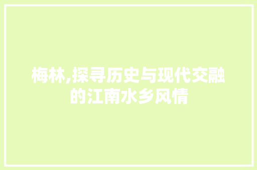 梅林,探寻历史与现代交融的江南水乡风情