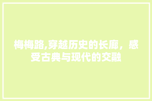 梅梅路,穿越历史的长廊，感受古典与现代的交融