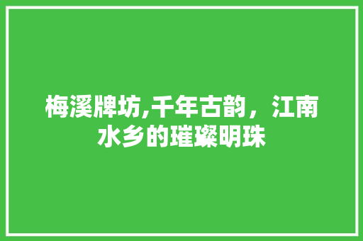 梅溪牌坊,千年古韵，江南水乡的璀璨明珠