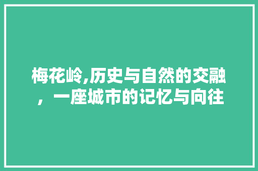 梅花岭,历史与自然的交融，一座城市的记忆与向往