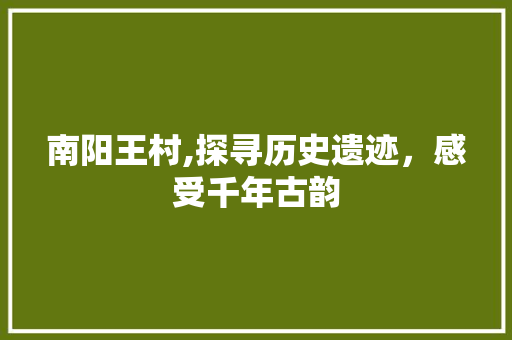 南阳王村,探寻历史遗迹，感受千年古韵