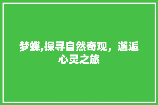 梦蝶,探寻自然奇观，邂逅心灵之旅  第1张