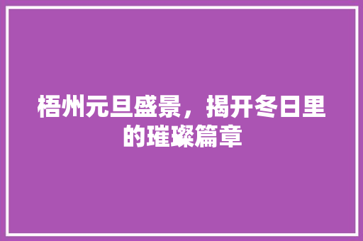 梧州元旦盛景，揭开冬日里的璀璨篇章  第1张