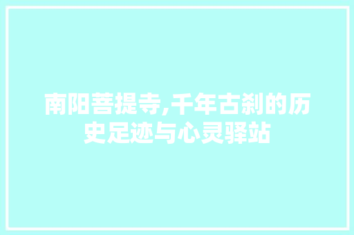 南阳菩提寺,千年古刹的历史足迹与心灵驿站