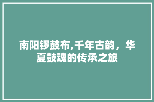 南阳锣鼓布,千年古韵，华夏鼓魂的传承之旅  第1张