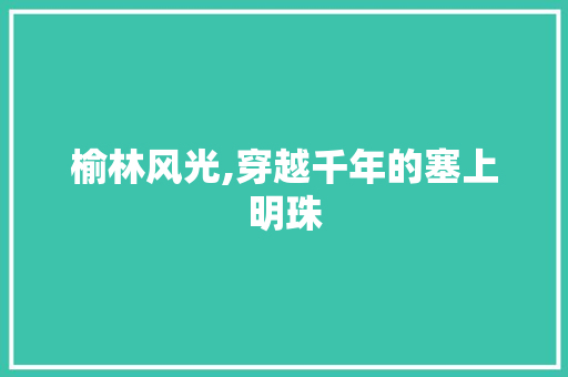 榆林风光,穿越千年的塞上明珠