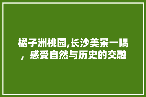 橘子洲桃园,长沙美景一隅，感受自然与历史的交融