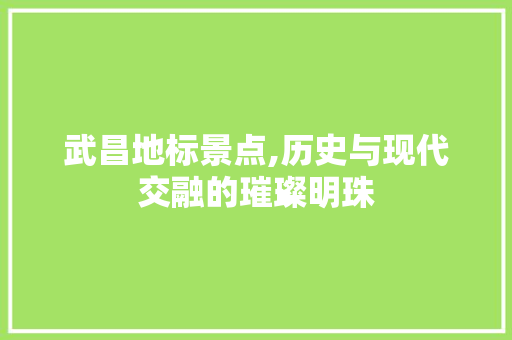 武昌地标景点,历史与现代交融的璀璨明珠  第1张