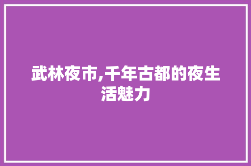 武林夜市,千年古都的夜生活魅力  第1张