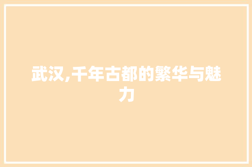 武汉,千年古都的繁华与魅力  第1张