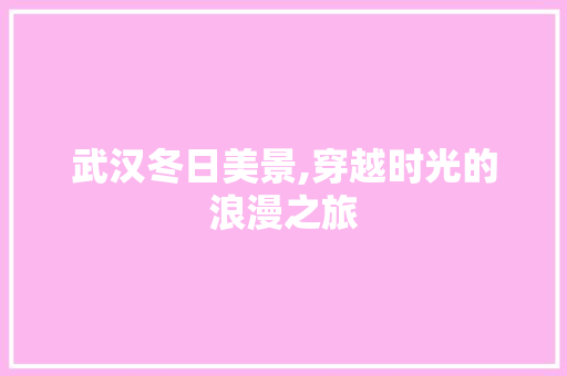 武汉冬日美景,穿越时光的浪漫之旅