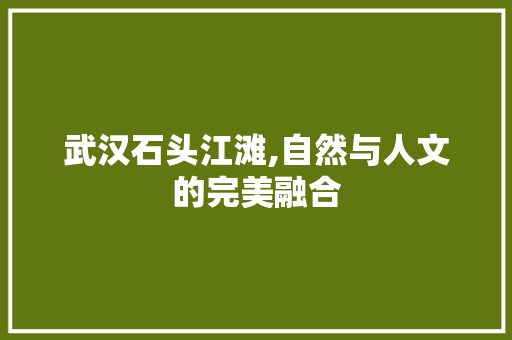 武汉石头江滩,自然与人文的完美融合