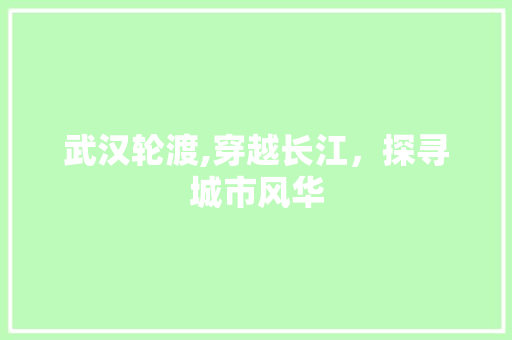 武汉轮渡,穿越长江，探寻城市风华  第1张
