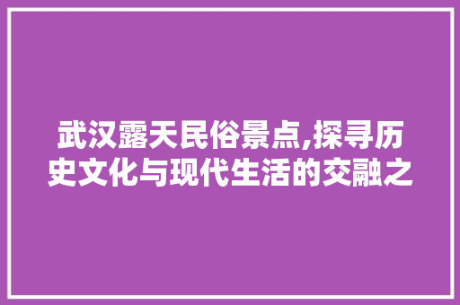武汉露天民俗景点,探寻历史文化与现代生活的交融之地  第1张