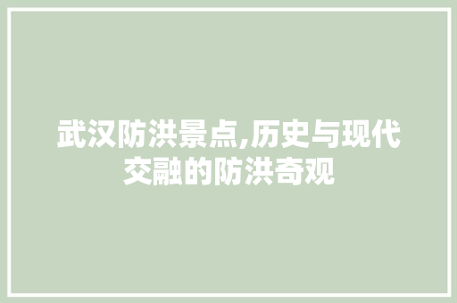 武汉防洪景点,历史与现代交融的防洪奇观