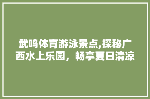 武鸣体育游泳景点,探秘广西水上乐园，畅享夏日清凉时光