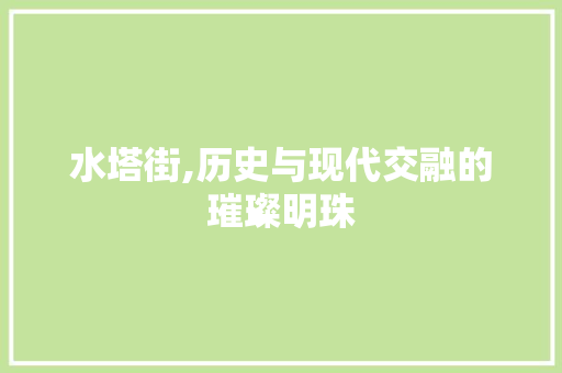 水塔街,历史与现代交融的璀璨明珠