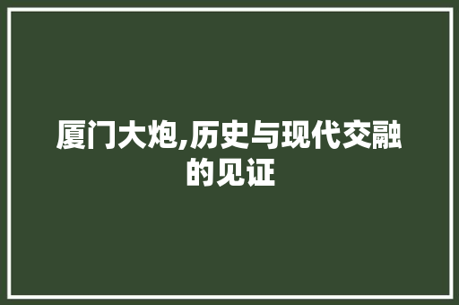 厦门大炮,历史与现代交融的见证