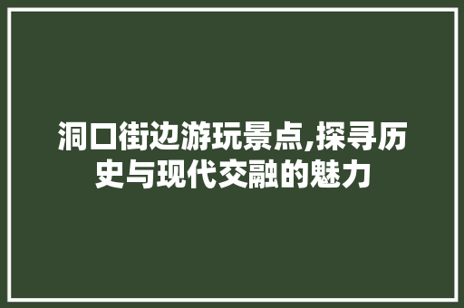 洞口街边游玩景点,探寻历史与现代交融的魅力  第1张