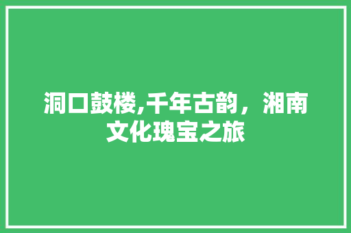 洞口鼓楼,千年古韵，湘南文化瑰宝之旅  第1张