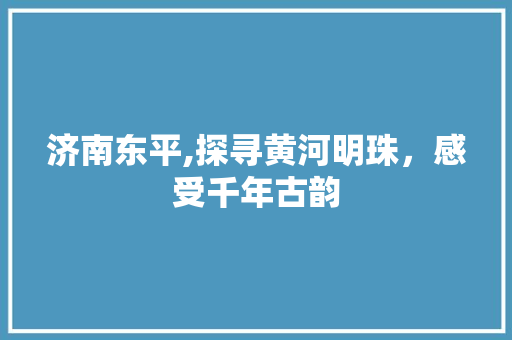 济南东平,探寻黄河明珠，感受千年古韵  第1张
