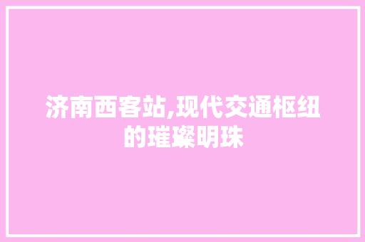 济南西客站,现代交通枢纽的璀璨明珠