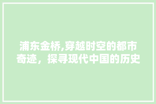 浦东金桥,穿越时空的都市奇迹，探寻现代中国的历史足迹