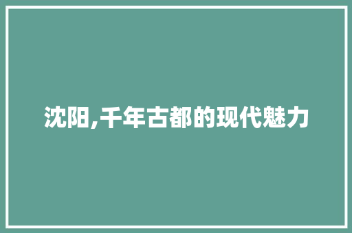 沈阳,千年古都的现代魅力  第1张