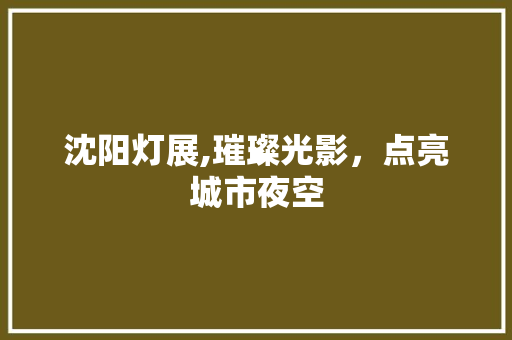 沈阳灯展,璀璨光影，点亮城市夜空  第1张