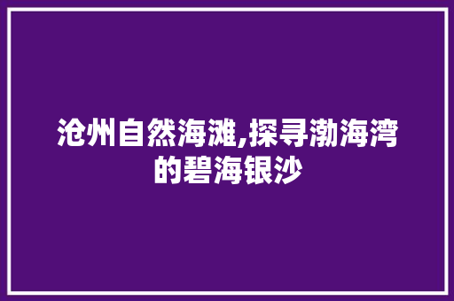 沧州自然海滩,探寻渤海湾的碧海银沙  第1张
