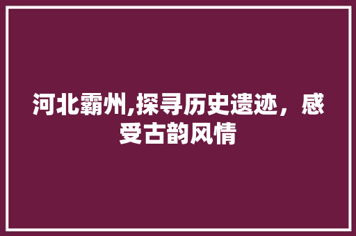 河北霸州,探寻历史遗迹，感受古韵风情