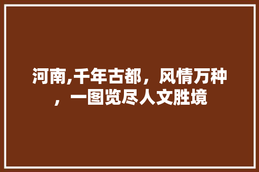 河南,千年古都，风情万种，一图览尽人文胜境