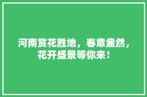 河南赏花胜地，春意盎然，花开盛景等你来！  第1张
