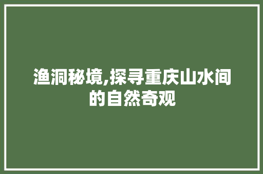 渔洞秘境,探寻重庆山水间的自然奇观  第1张