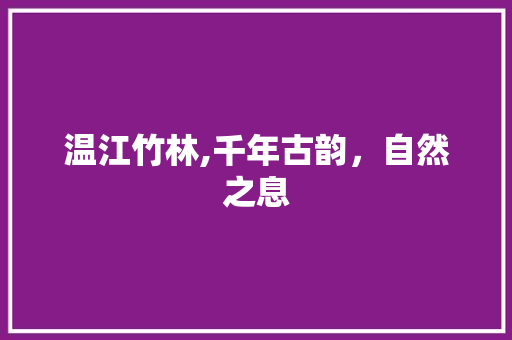 温江竹林,千年古韵，自然之息