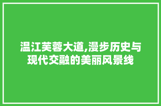 温江芙蓉大道,漫步历史与现代交融的美丽风景线
