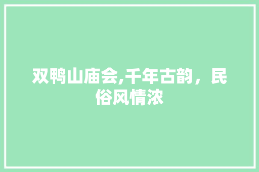 双鸭山庙会,千年古韵，民俗风情浓  第1张