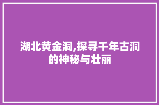 湖北黄金洞,探寻千年古洞的神秘与壮丽  第1张