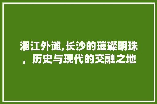 湘江外滩,长沙的璀璨明珠，历史与现代的交融之地  第1张