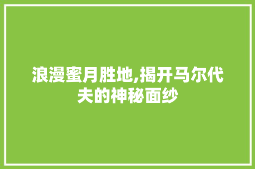 浪漫蜜月胜地,揭开马尔代夫的神秘面纱