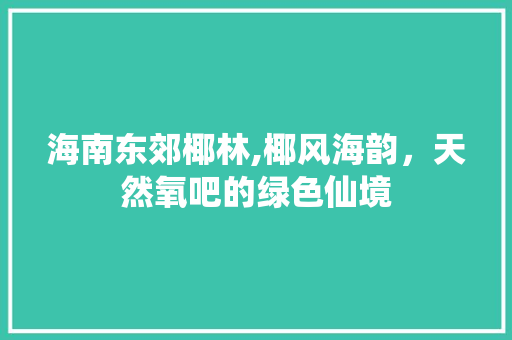 海南东郊椰林,椰风海韵，天然氧吧的绿色仙境