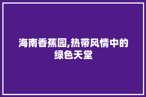 海南香蕉园,热带风情中的绿色天堂
