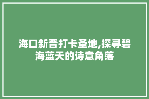 海口新晋打卡圣地,探寻碧海蓝天的诗意角落