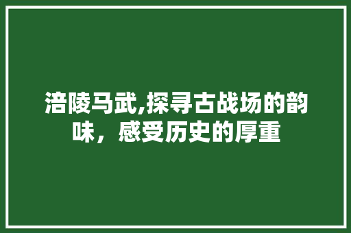 涪陵马武,探寻古战场的韵味，感受历史的厚重
