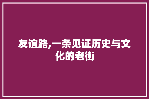 友谊路,一条见证历史与文化的老街