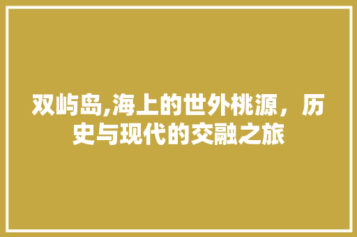 双屿岛,海上的世外桃源，历史与现代的交融之旅