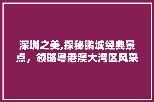 深圳之美,探秘鹏城经典景点，领略粤港澳大湾区风采
