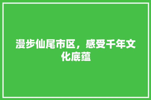 漫步仙尾市区，感受千年文化底蕴